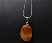 Kaplan gz ta kolye ucu