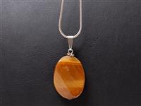 Kaplan gz ta kolye ucu