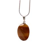 Kaplan gz ta kolye ucu