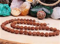 Rudraksha tohumu kolye