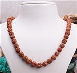 Rudraksha tohumu kolye