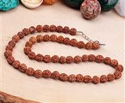 Rudraksha tohumu kolye