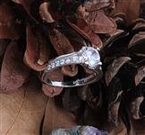 Ni�an y�z�kleri