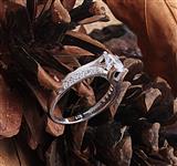 Ni�an y�z�kleri